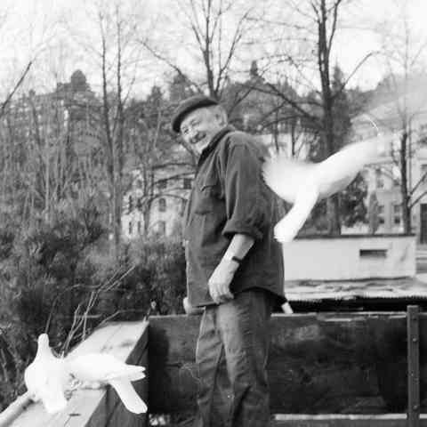 brockhage hrade  .jpg